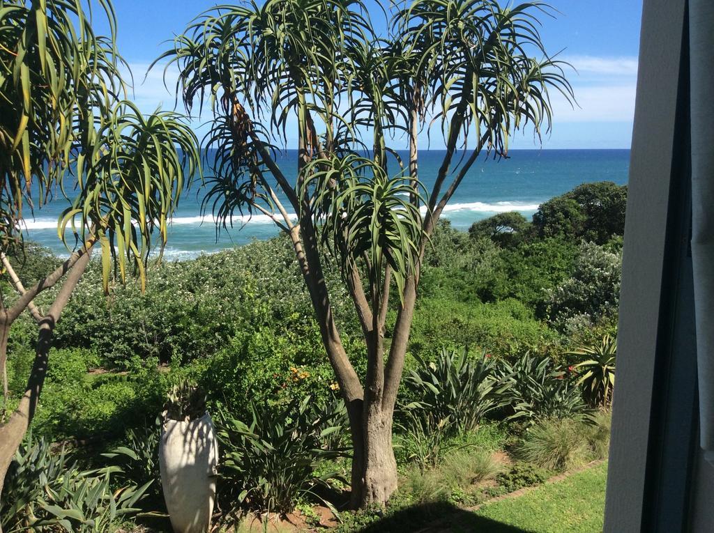 Misty Blue Bed And Breakfast Durban Phòng bức ảnh