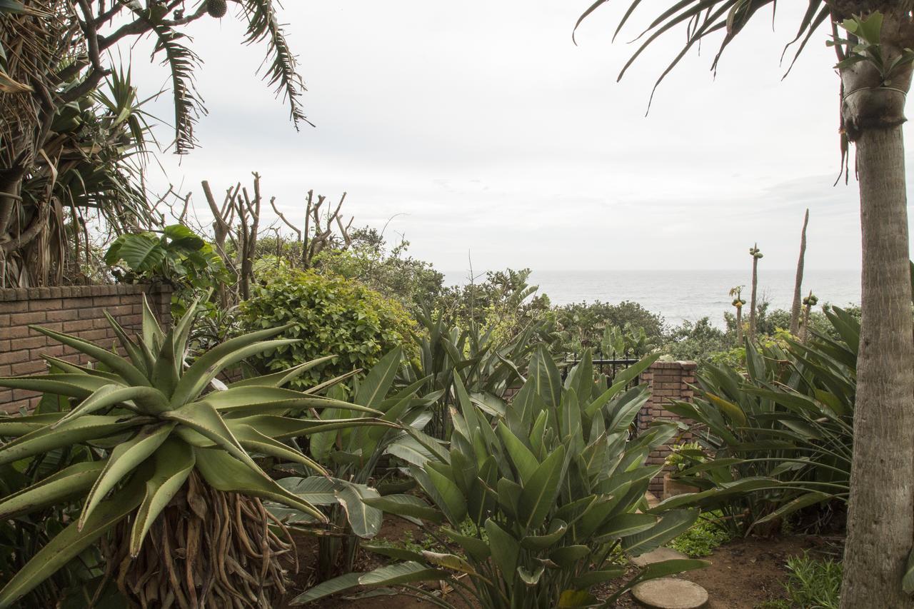 Misty Blue Bed And Breakfast Durban Ngoại thất bức ảnh