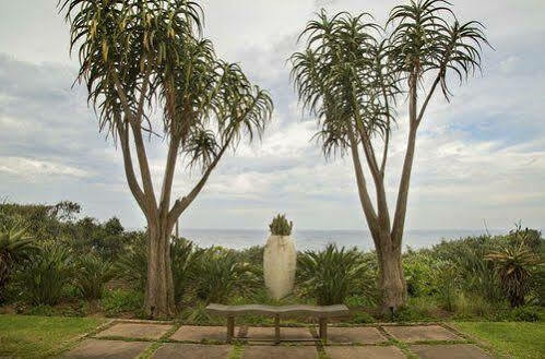 Misty Blue Bed And Breakfast Durban Ngoại thất bức ảnh